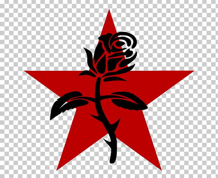 Anarchism Black Rose Symbol Anarchy Anarcho Syndicalism Png