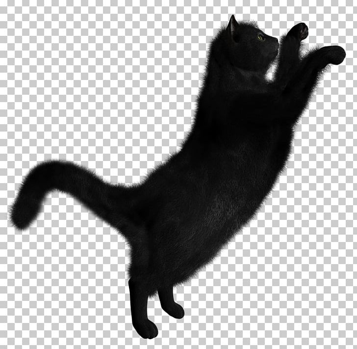 Black Cat Portable Network Graphics Transparency PNG, Clipart, Black, Black And White, Black Cat, Carnivoran, Cat Free PNG Download