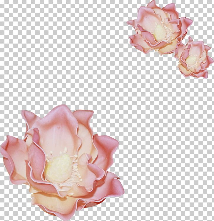 Garden Roses Flower Handkerchief PNG, Clipart, Button, Cut Flowers, Flower, Flowering Plant, Garden Roses Free PNG Download