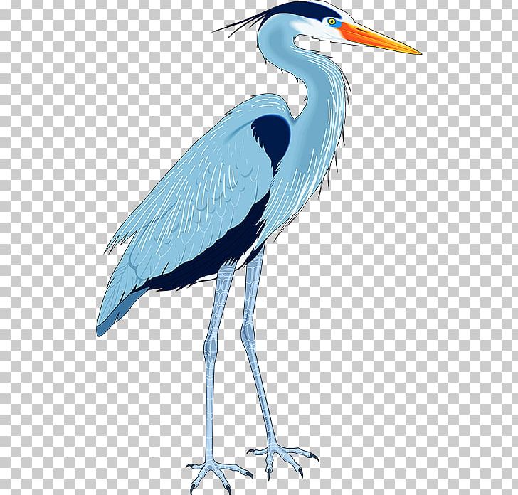 Great Blue Heron Drawing PNG, Clipart, Beak, Bird, Crane, Encapsulated Postscript, Fauna Free PNG Download