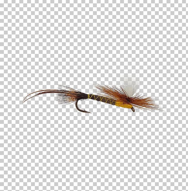 Hexagenia Limbata Fly Holly Flies Product PNG, Clipart, Artificial Fly, Drake, Email, Feather, Fishing Bait Free PNG Download