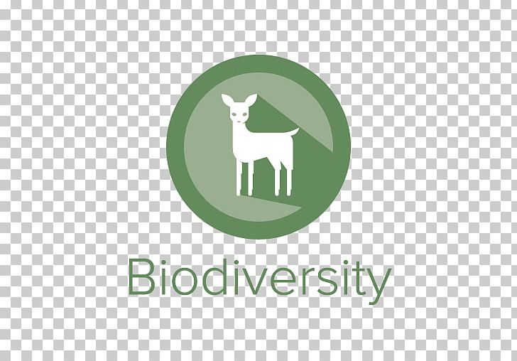 University Of Colorado Boulder University Of California PNG, Clipart, Boulder, Deer, Grass, Logo, People Free PNG Download