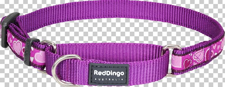Dog Collar Martingale Pet Tag PNG, Clipart, Chain, Choker, Collar, Daisy Chain, Dingo Free PNG Download