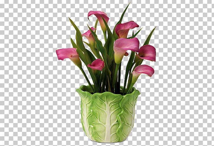 Floral Design Cut Flowers Flower Bouquet Arum-lily PNG, Clipart, Artificial Flower, Arumlily, Bog Arum, Calla Lily, Cari Free PNG Download