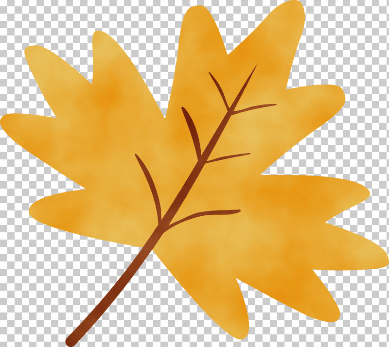 Maple Leaf PNG, Clipart, Flower, Leaf, Maple Leaf, Paint, Plant Free PNG Download
