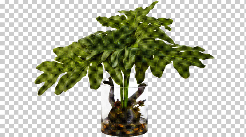Flowerpot Plant Flower Leaf Houseplant PNG, Clipart, Alismatales, Aquarium Decor, Arum Family, Flower, Flowerpot Free PNG Download