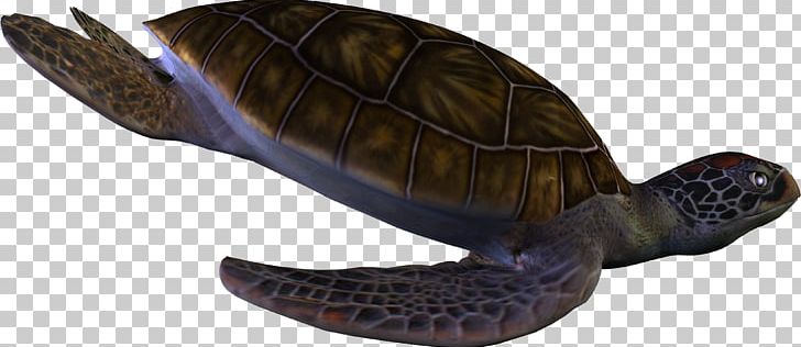 Sea Turtle Reptile PNG, Clipart, Animal, Animal Figure, Animals, Box Turtle, Computer Icons Free PNG Download