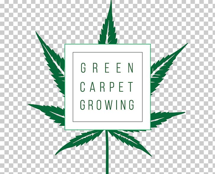 Green Carpet Growing Cannabis Cultivation West Coast Cannabis Tours PNG, Clipart, Area, Brand, Cannabis, Cannabis Cultivation, Cannabis Industry Free PNG Download