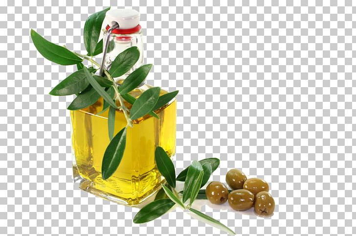 Olive Oil Machine Expeller Pressing PNG, Clipart, Branch, Coconut Oil, Cooking Oil, Flower, Flowerpot Free PNG Download