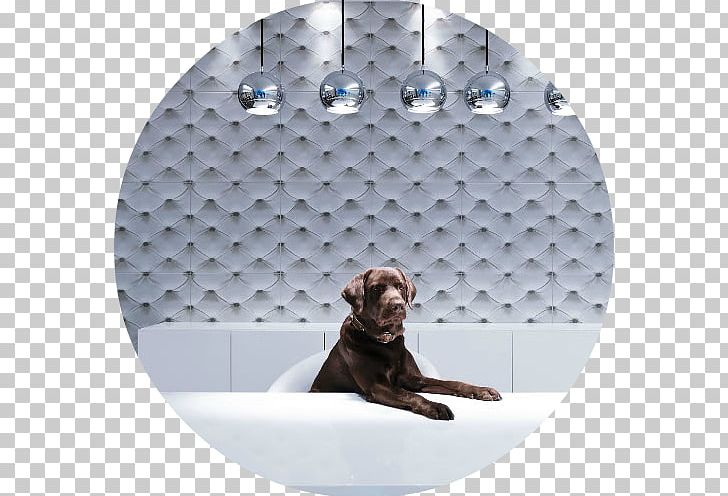 Porcelain Tile Ceramic Jainoor Earthenware PNG, Clipart, Capitone, Ceramic, Cordoba, Dog, Dog Like Mammal Free PNG Download