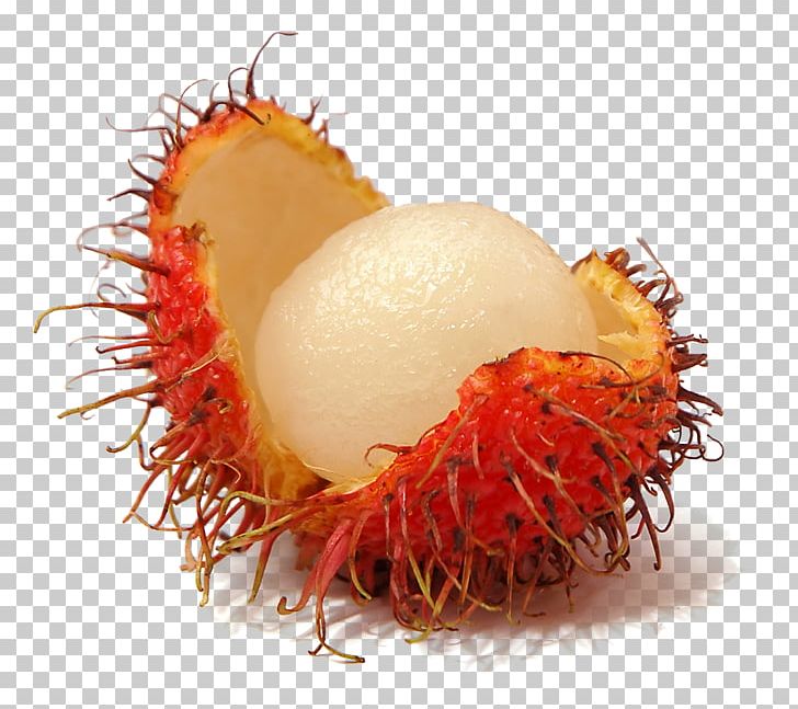 Rambutan Fruit Pitaya PNG, Clipart, Banana Passionfruit, Carambola, Dried Fruit, Durian, Food Free PNG Download