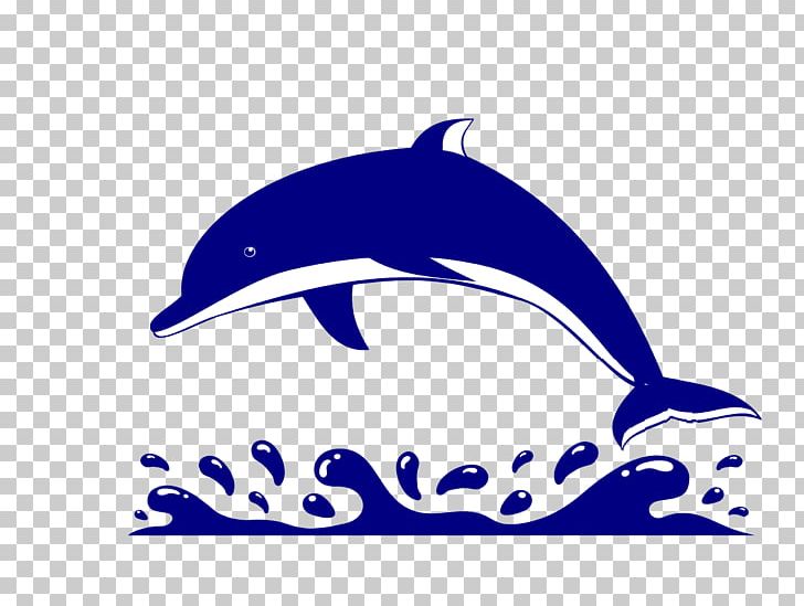 Blue Marine Mammal Mammal PNG, Clipart, Animation, Art, Automotive Design, Blue, Cobalt Blue Free PNG Download