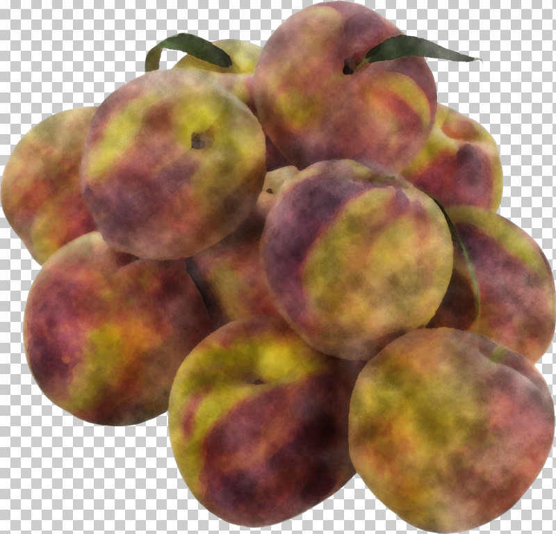 Peach Plum Local Food Apple PNG, Clipart, Apple, Local Food, Peach, Plum Free PNG Download