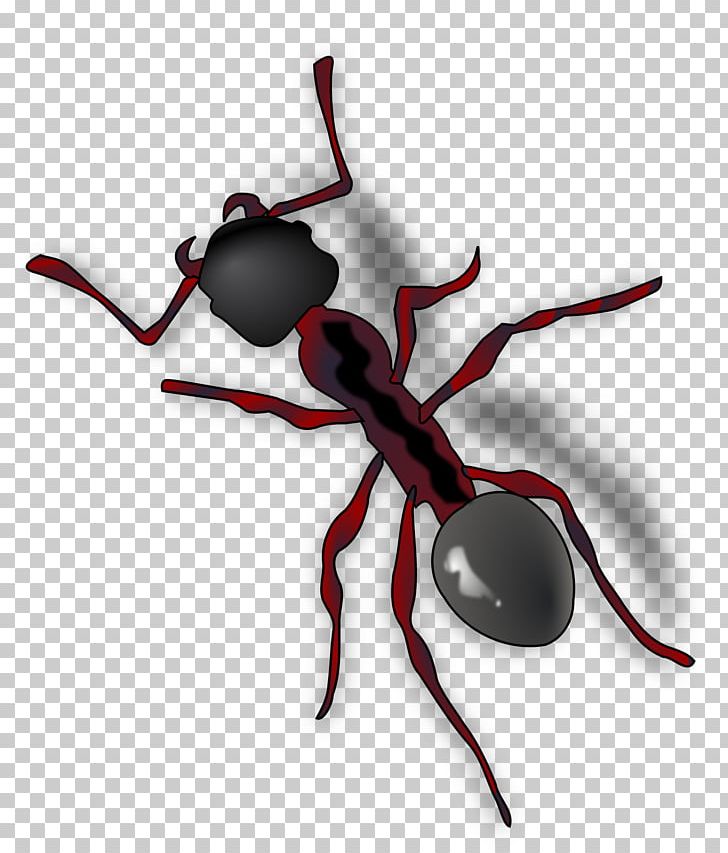 Ant PNG, Clipart, Ant, Ant Colony, Ant Png, Ants, Arthropod Free PNG Download