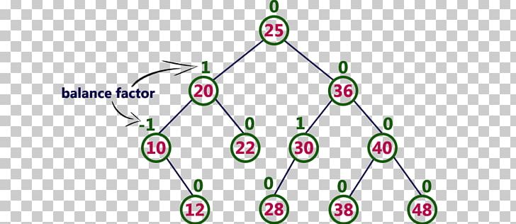 AVL Tree Self-balancing Binary Search Tree Data Structure PNG, Clipart, Algorithm, Angle, Area, Avl Tree, Binary Search Algorithm Free PNG Download