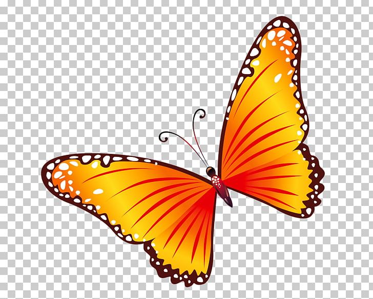 Butterfly PNG, Clipart, Arthropod, Brush Footed Butterfly, Butterflies And Moths, Butterfly, Color Free PNG Download