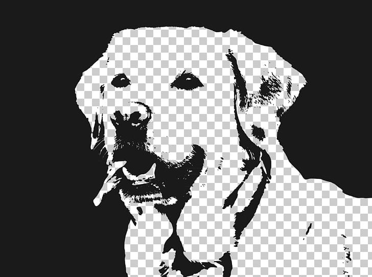 Labrador Retriever Illustration PNG, Clipart, Animal, Animals, Black, Black And White, Carnivoran Free PNG Download