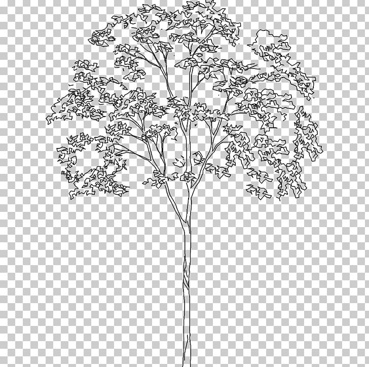 Landscape Architecture Drawing .dwg Tree PNG, Clipart, Architect, Architectural Drawing, Architectural Plan, Architectural Rendering, Autocad Architecture Free PNG Download