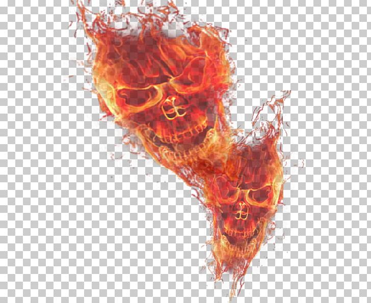 Light Skull Flame PNG, Clipart, Art, Bone, Carbon Monoxide Detector, Computer Icons, Computer Wallpaper Free PNG Download