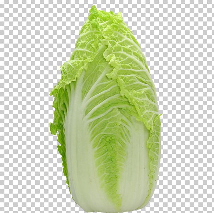 Chinese Cabbage Leaf Lettuce Vegetable Salad PNG, Clipart, Cabbage, Celery, Chard, Explosion Effect Material, Food Free PNG Download