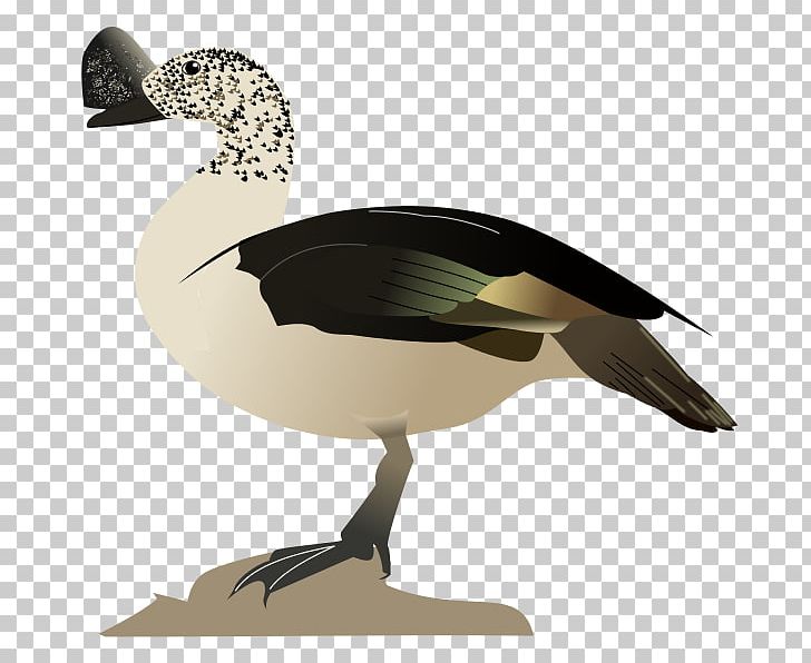 Goose Duck Mallard Bird Waterfowl PNG, Clipart, Anatidae, Animal, Animals, Beak, Bird Free PNG Download