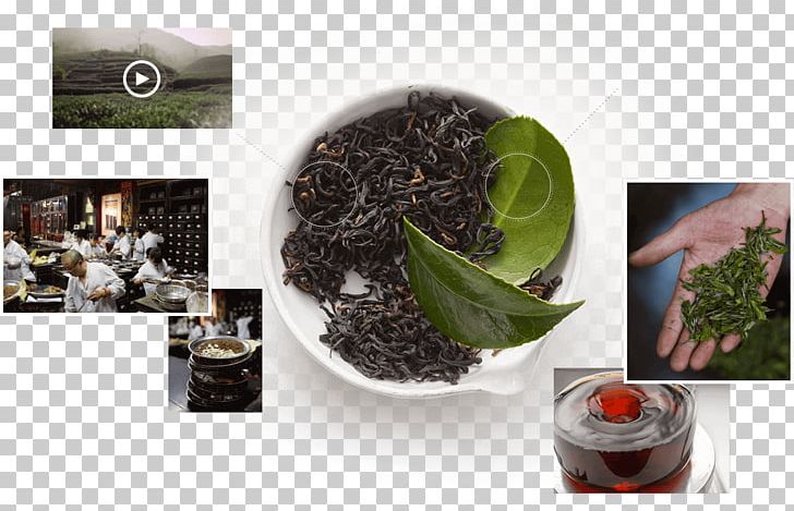 Oolong Kombucha Black Tea Da Hong Pao PNG, Clipart, Assam Tea, Black Tea, Brand, Camellia Sinensis, Ceylon Tea Free PNG Download