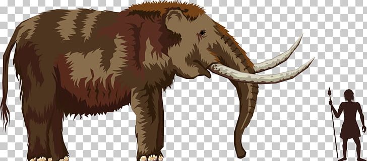 Pliocene Mastodon Mammoth PNG, Clipart, Animals, Cattle Like Mammal, Computer Icons, Elephant, Elephants And Mammoths Free PNG Download