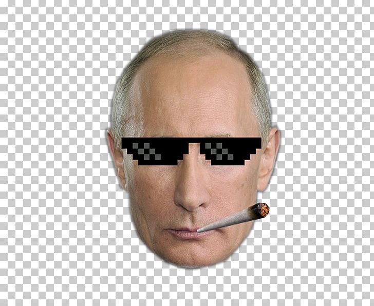 Vladimir Putin Shrek Russia Goggles PNG, Clipart, Cameron Diaz, Celebrities, Cheek, Chin, Daily Stormer Free PNG Download