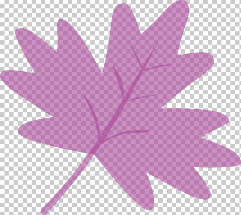 Maple Leaf PNG, Clipart, Flower, Hand, Leaf, Maple Leaf, Petal Free PNG Download