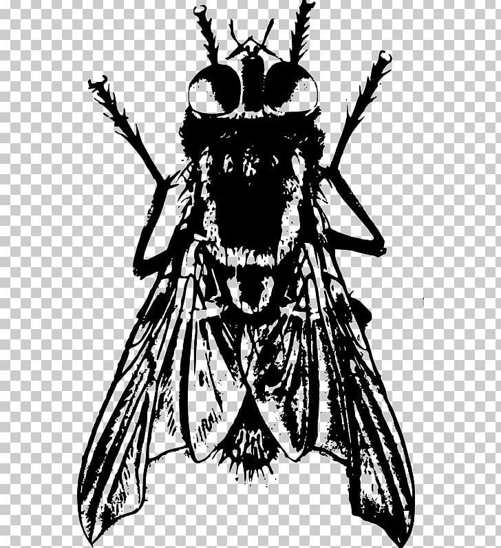Bee Insect Drawing Housefly PNG, Clipart, Art, Arthropod, Bee, Black And White, Color Free PNG Download