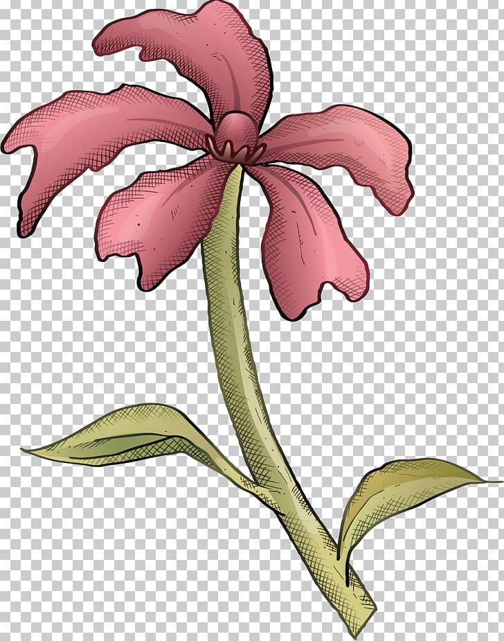 Cut Flowers Cattleya Orchids PNG, Clipart, Basket, Branch, Cattleya, Easter Egg, Flor Free PNG Download