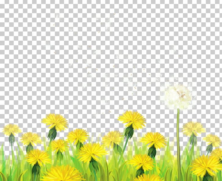Dandelion Green PNG, Clipart, Cartoon, Clip Art, Color, Computer Wallpaper, Daisy Free PNG Download