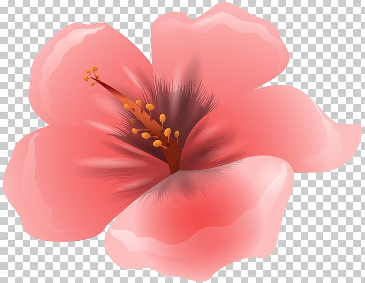 Flower Pink PNG, Clipart, Art, Blossom, Cherry Blossom, Clipart, Clip Art Free PNG Download