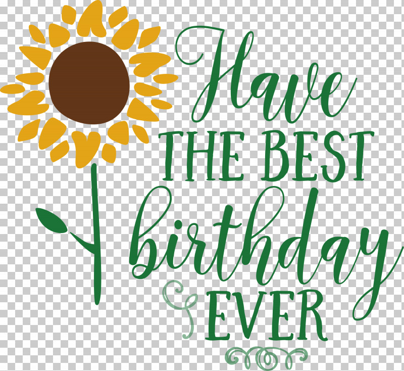 Birthday Best Birthday PNG, Clipart, Birthday, Cut Flowers, Daisy Family, Floral Design, Flower Free PNG Download
