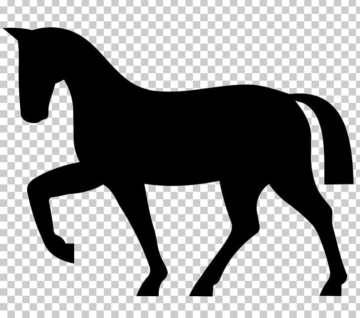Andalusian Horse Equestrian Silhouette PNG, Clipart, Andalusian Horse, Animals, Black And White, Bridle, Collection Free PNG Download