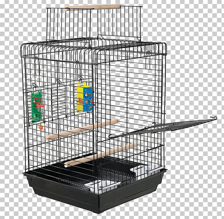 Cockatiel Lovebird Domestic Canary Budgerigar PNG, Clipart, Animals, Aviary, Bird, Bird Cage, Birdcage Free PNG Download
