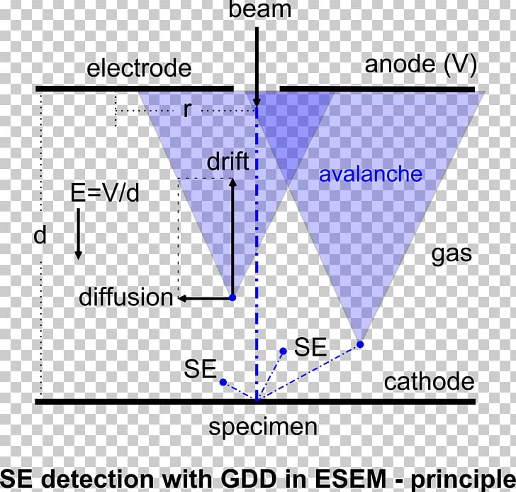 Environmental Scanning Electron Microscope Everhart-Thornley Detector Secondary Electrons PNG, Clipart, Angle, Anode, Area, Backscatter, Cathode Ray Free PNG Download