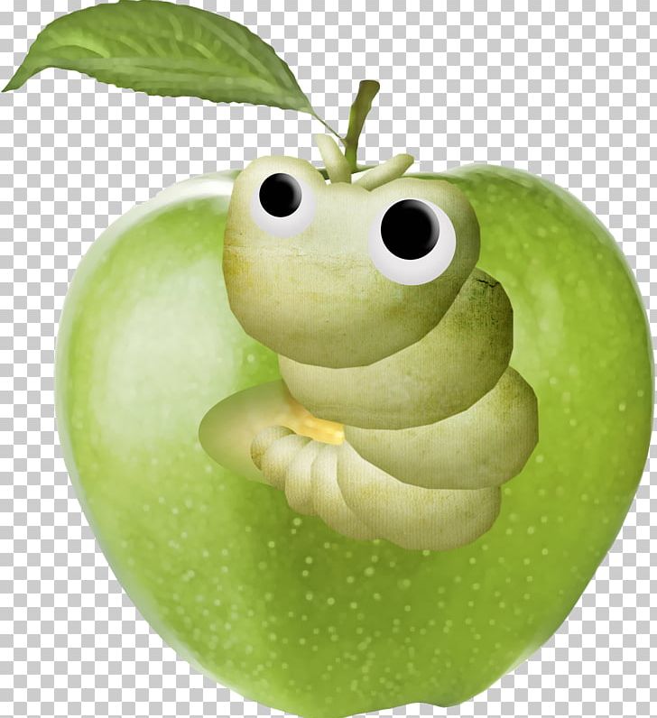 Apple Kiwifruit PNG, Clipart, Amphibian, Apple, Apple Fruit, Apple Logo, Background Green Free PNG Download