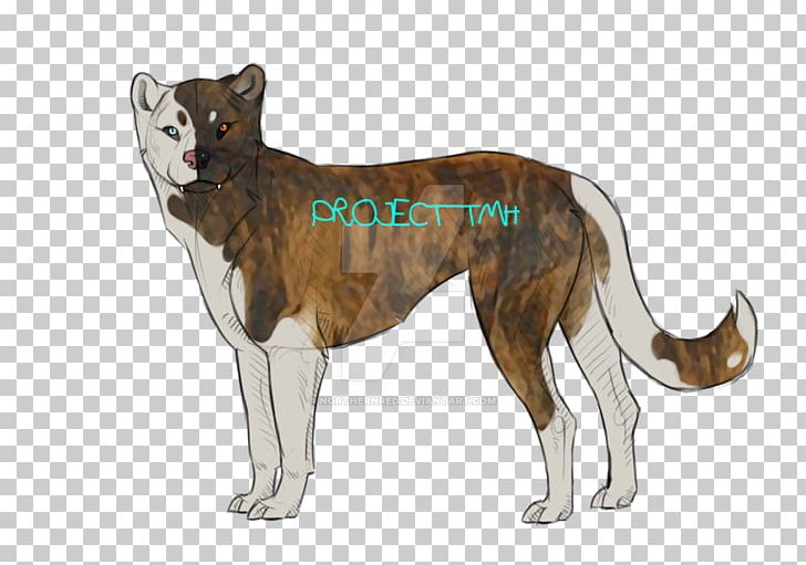 Dog Breed Saarloos Wolfdog Cat Mammal PNG, Clipart, Animals, Breed, Carnivoran, Cat, Cat Like Mammal Free PNG Download
