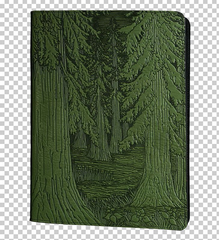 Forest Tree Notebook Leather Oberon Design PNG, Clipart, Biome, Color, Fern, Forest, Grass Free PNG Download