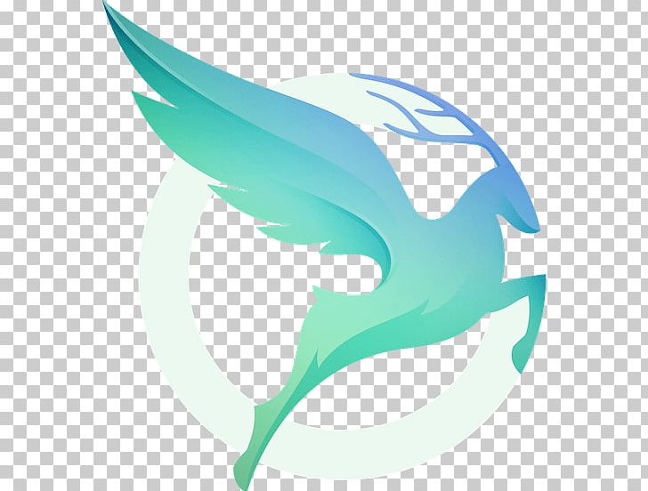Logo Motion Graphic Design Designer PNG, Clipart, Aqua, Art, Azure, Beak, Bird Free PNG Download