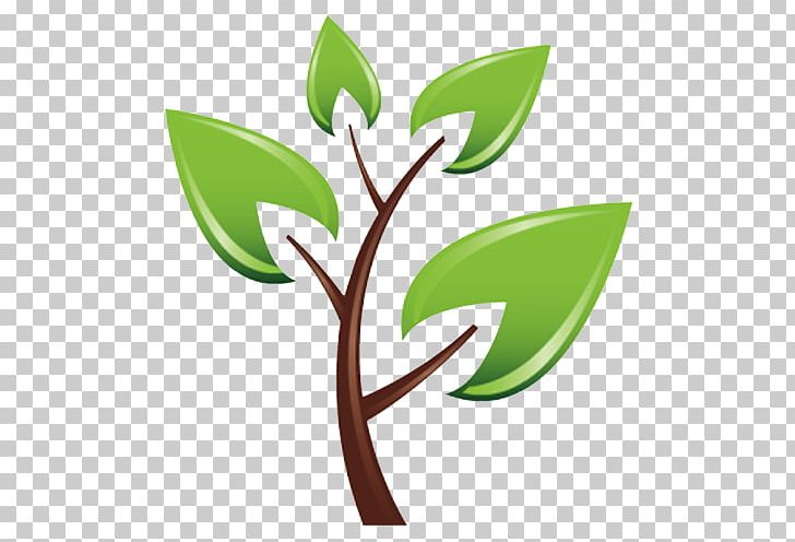 Tree Planting Sowing Montrose Tree Services PNG, Clipart, Arbor Day, Branch, Cutting, Flora, Flower Free PNG Download