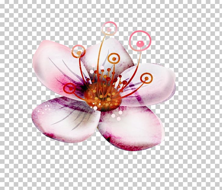 Flower Petal PNG, Clipart, Blog, Blossom, Color, Cut Flowers, Decoration Free PNG Download