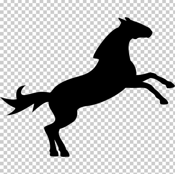 Horse Show Jumping Equestrian PNG, Clipart, Animals, Black, Black And White, Collection, Dog Like Mammal Free PNG Download
