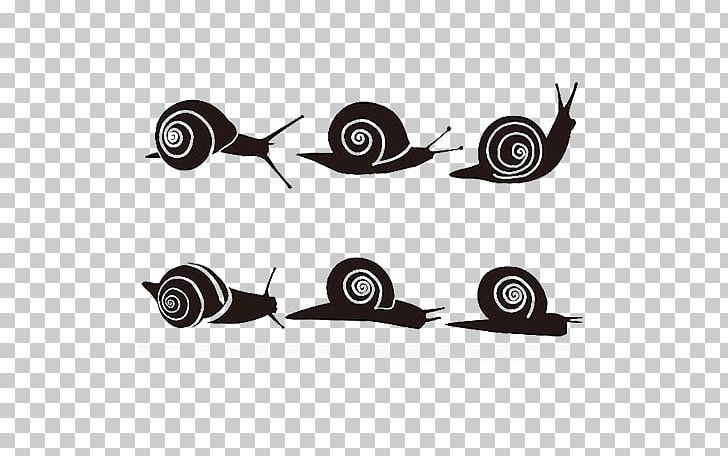 Insect Orthogastropoda Silhouette PNG, Clipart, Angle, Animal, Animals, Black, Cartoon Free PNG Download