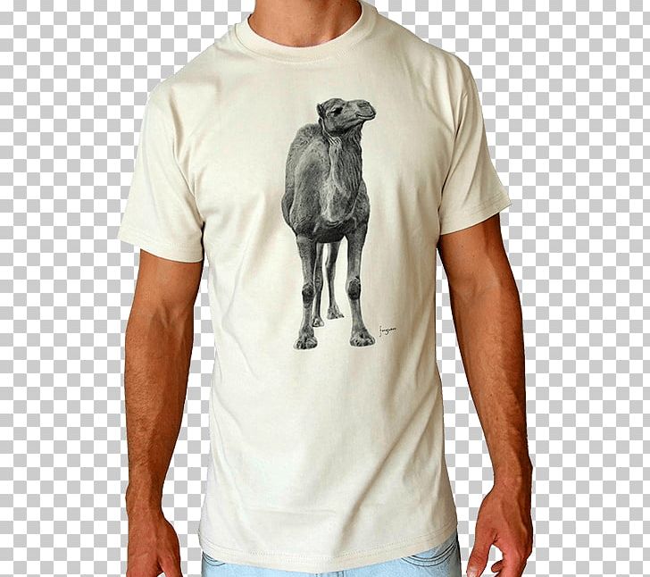 T-shirt Sleeve Polo Shirt Camel PNG, Clipart, Bluza, Camel, Casual Wear ...