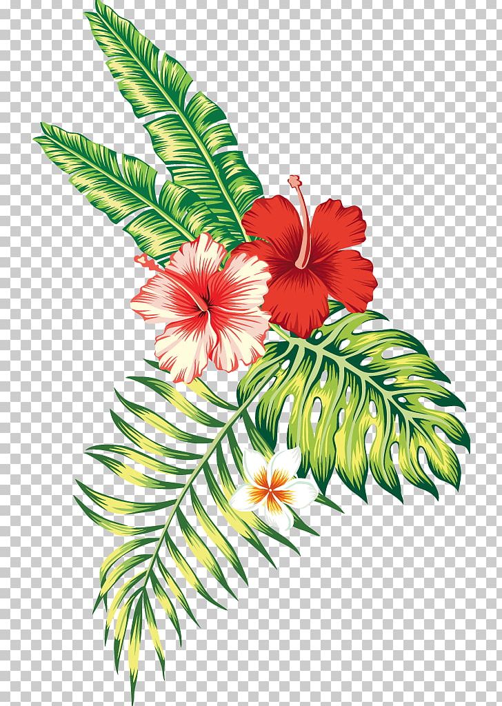 Tropics Tropical Climate Flower PNG, Clipart, Arecaceae, Art, Branch, Cut Flowers, Drawing Free PNG Download