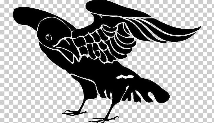 American Crow Common Raven Crow Nation Symbol PNG, Clipart, Alchemical Symbol, Ame, Artwork, Beak, Bird Free PNG Download