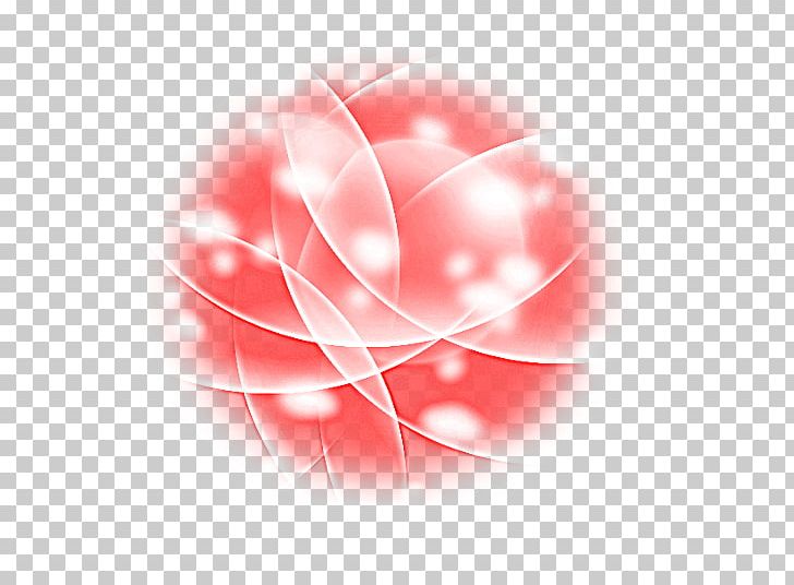 Close-up Rosaceae Photography Petal Flower PNG, Clipart, Circle, Closeup, Closeup, Computer, Computer Graphics Free PNG Download