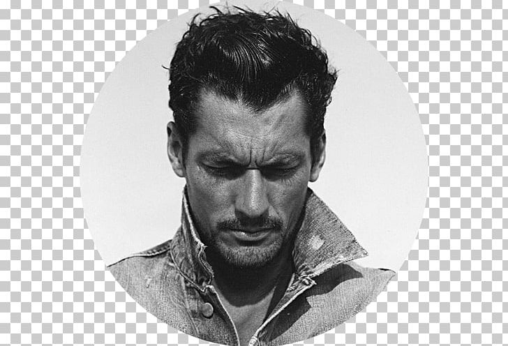 David Gandy Heartbreaker Model Fashion Author PNG, Clipart, Actor, Ashley Olsen, Author, Black And White, Celebrities Free PNG Download